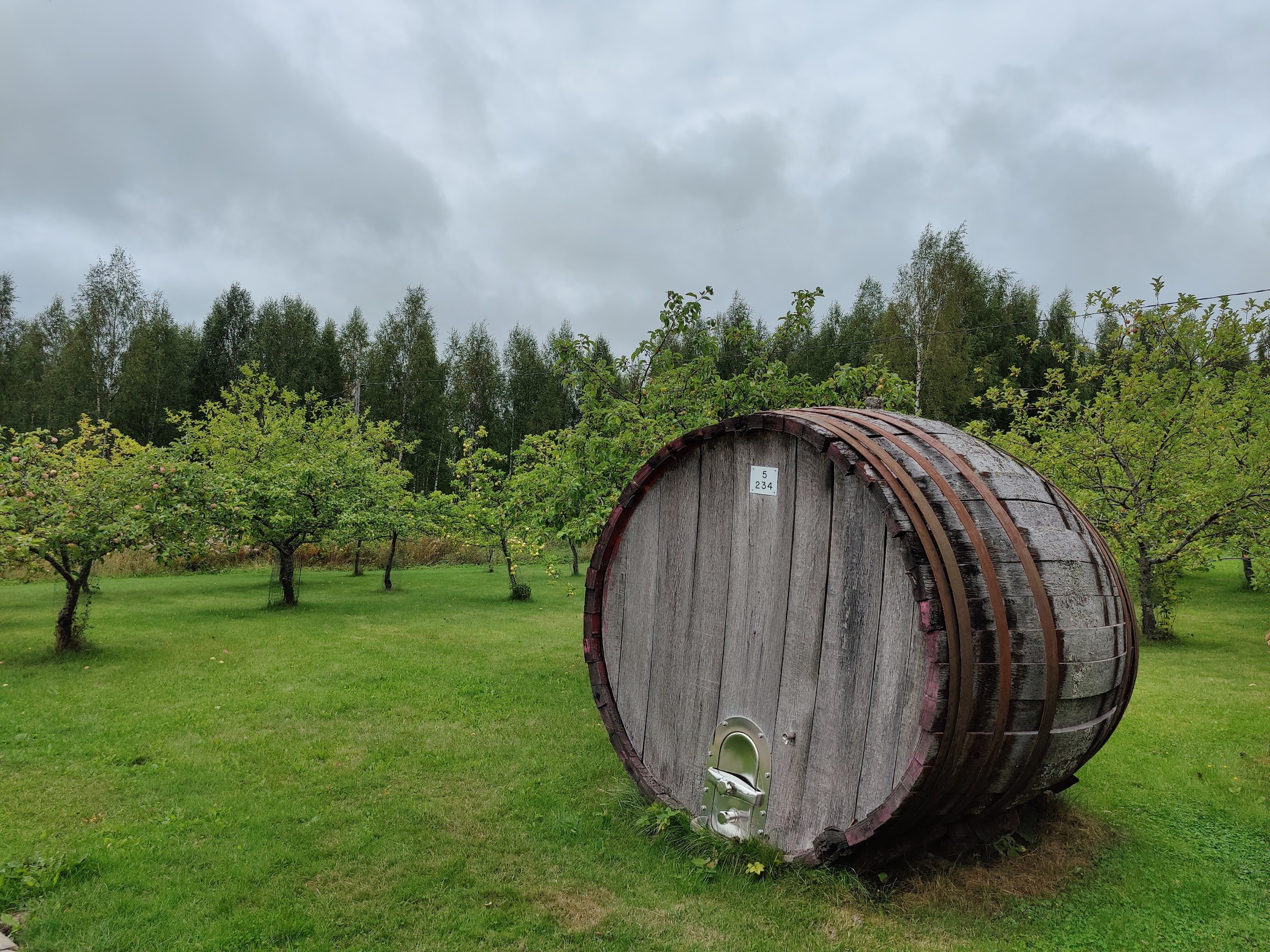 Ollinmäki Wine Farm